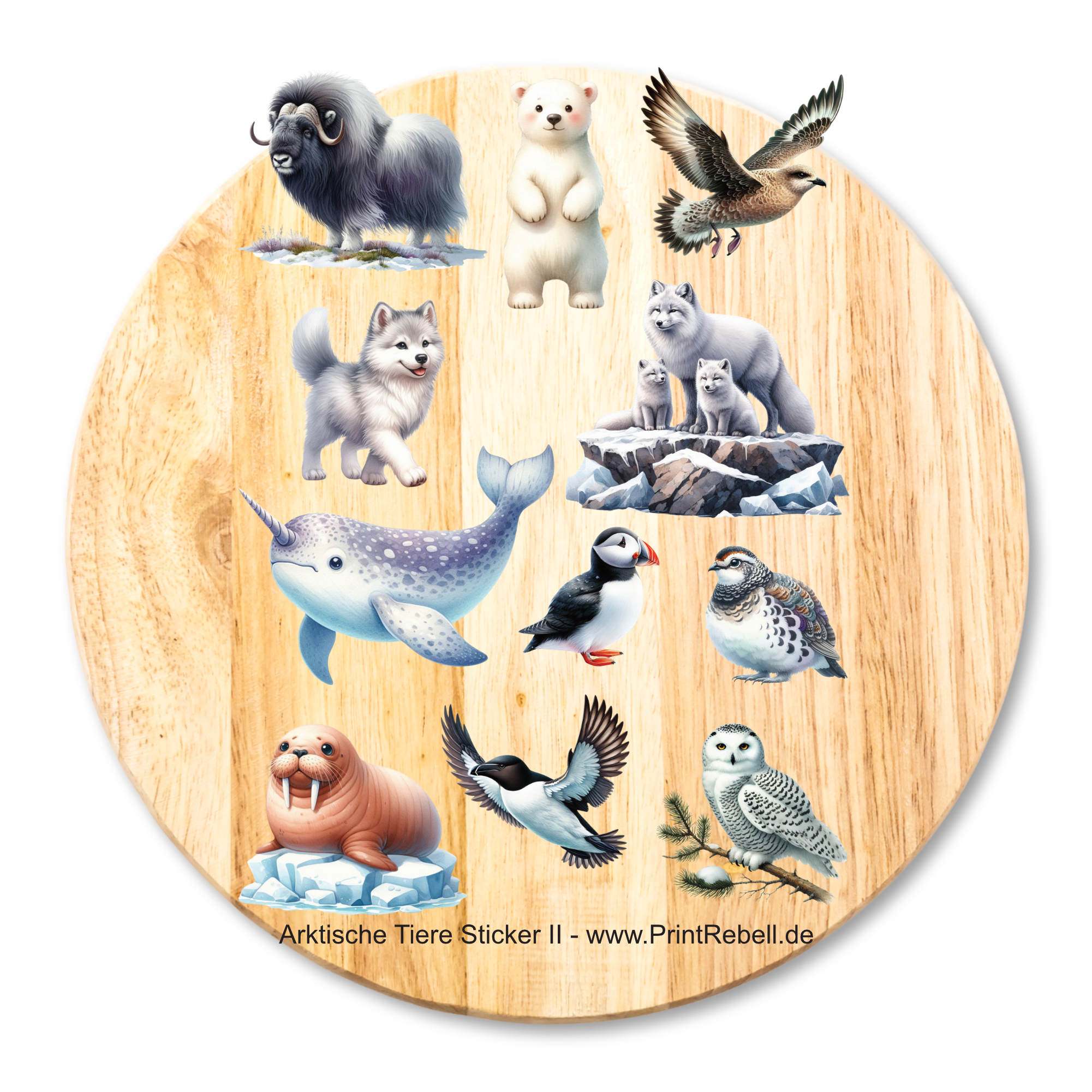 Bügelbild Stickerbogen arktische Tiere