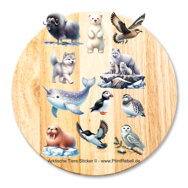 Bügelbild Stickerbogen arktische Tiere